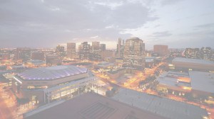 phoenix background