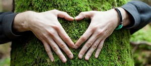 eco-friendly home cleaning service