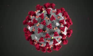 coronavirus