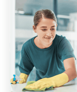 Home Cleaner