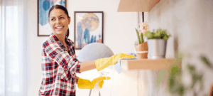 House cleaner