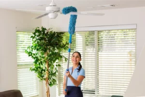 High Reach Microfiber Cleaning Kit extendable duster handle